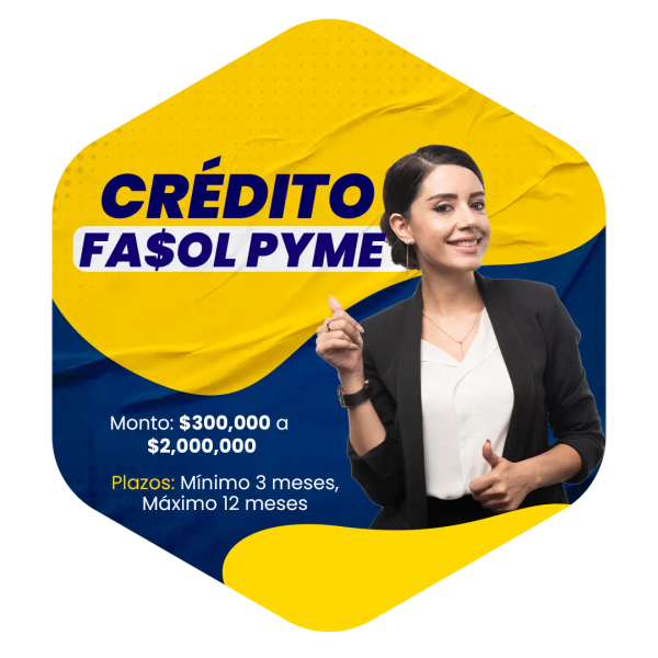 Fasol PYME
